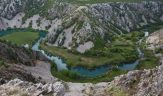 Park przyrody velebit centrum endemizmu