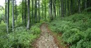 Park przyrody ucka