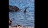 Fkk beach tomazevo krk chorwacja